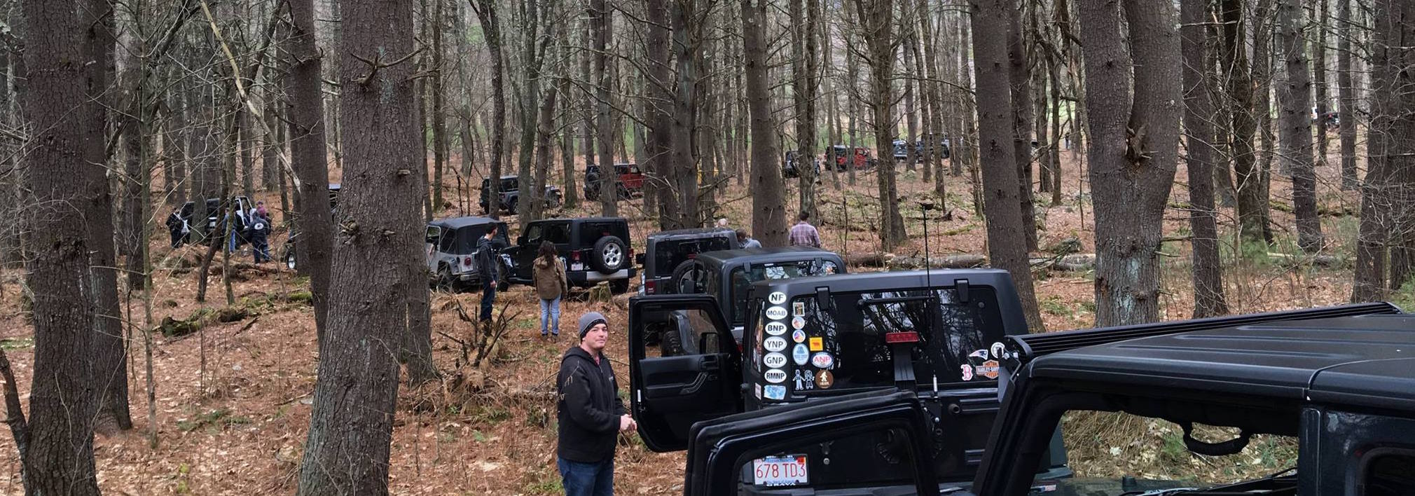 Jeeps on the trail