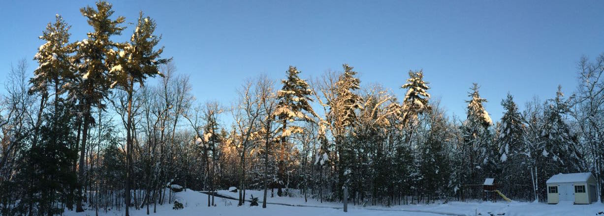 Snowy panorama